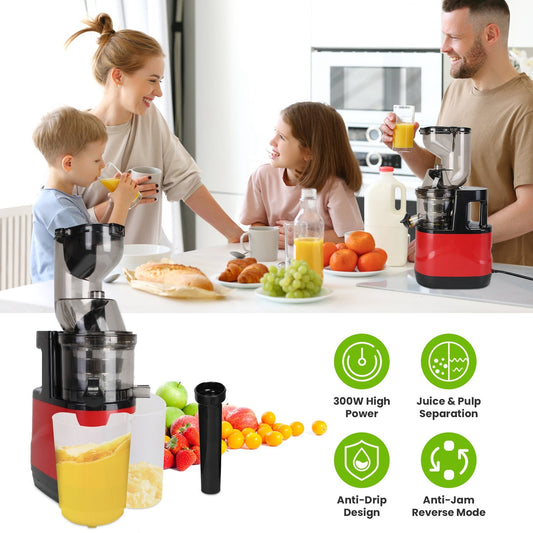 1Pc Cold Press Juicer Machine 300W Electric Slow Masticating Juicer