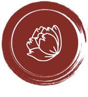 Your Home Decor and More